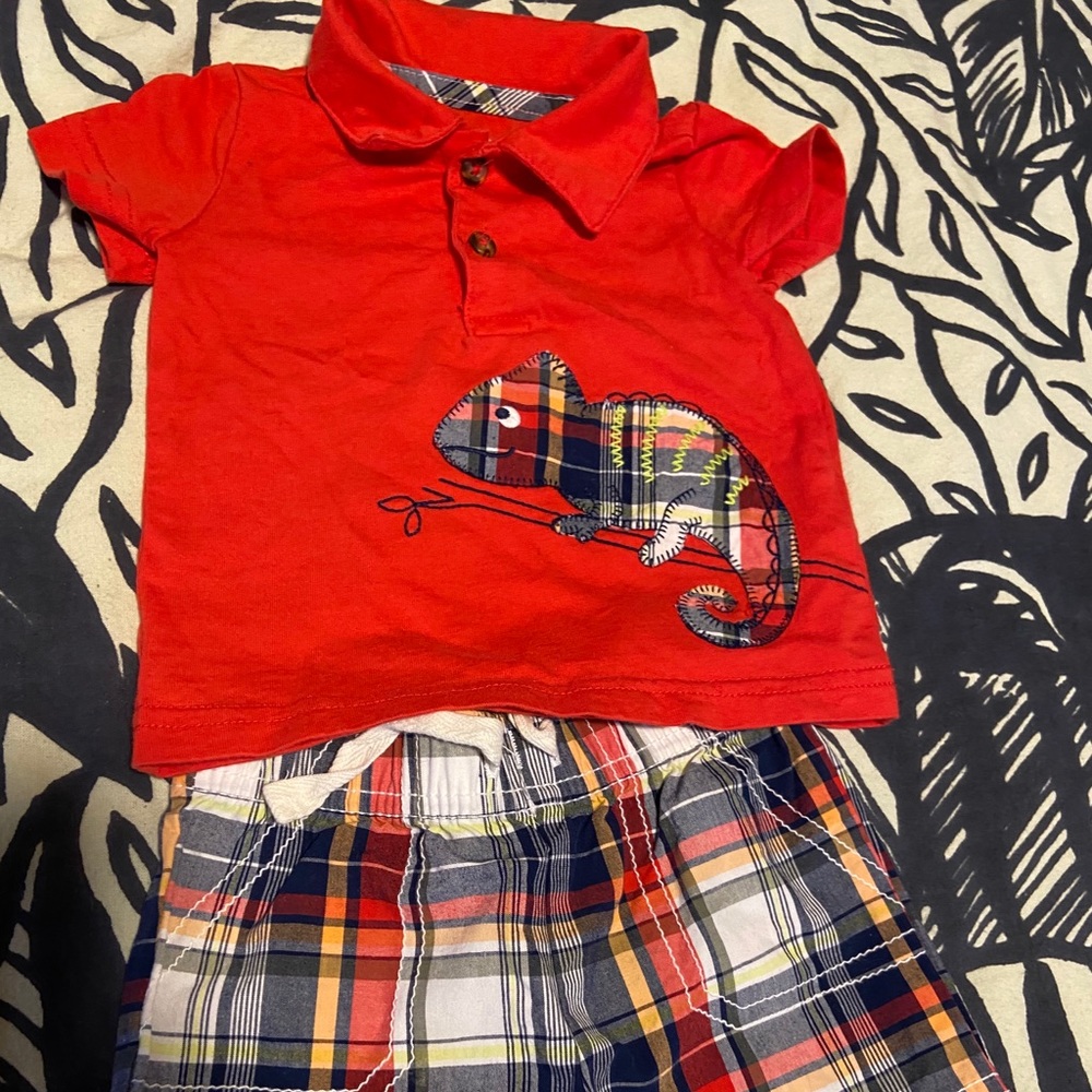 Lizard outfit 3-6 months EUC